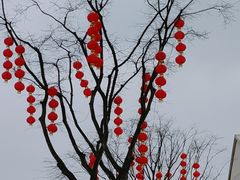 -洋湖国家湿地公园