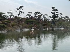 -罗红摄影艺术馆