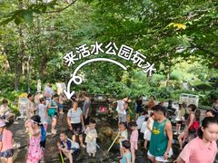 -成都市活水公园