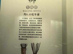 -贵州省地质博物馆