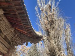 -张掖大佛寺景区