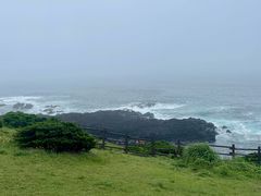 -涉地可支
