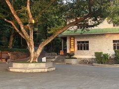 -罗浮山葛仙居菜馆