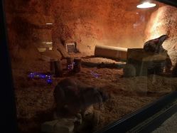 -酷嗒动物文化乐园(cutezoo西溪乐天城店)