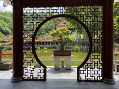 -深圳仙湖植物园
