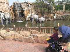 -美的鹭湖探索王国