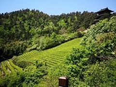 -敬亭山风景名胜区