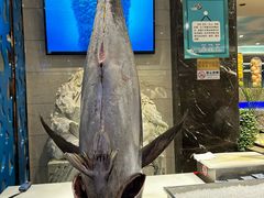 -初色海鲜自助(万丰路店)