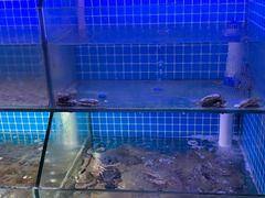 -面道赞宁海海鲜面(迎凤街店)