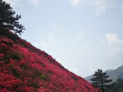 -木兰云雾山