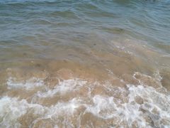 -金梦海湾浴场