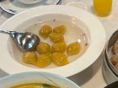 -新楚记