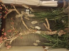 -秀沿路(地铁站)