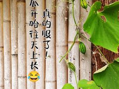 -水磨古镇