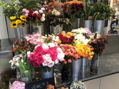 -植物学家的女儿(北马道巷店)