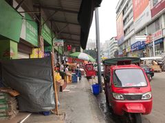 -菜园坝水果市场