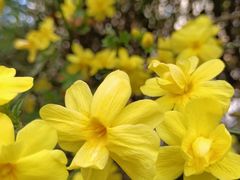 -国家植物园南园