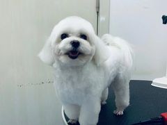 -太原东方动物医院(小店分院)