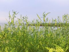 -卧龙湖