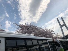 -上海南浦大桥长途旅游客运站