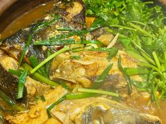-九道菜有鸡鱼头(石鼓路店)