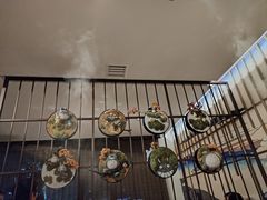 -牛New寿喜烧(新六百店)