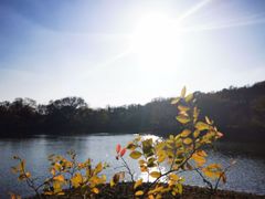 -紫霞湖公园