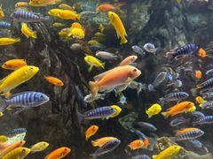 -太平洋海底世界