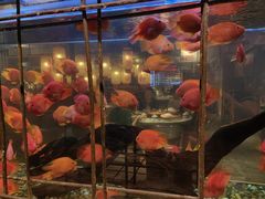 -朱光玉火锅馆(深圳总店)