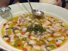 -青花椒花椒鱼(合生汇店)