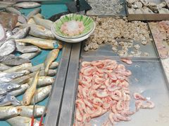 -胶东小渔村·博山菜(齐悦店)