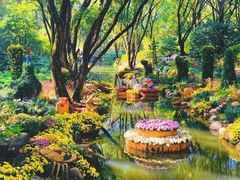 -上海共青森林公园