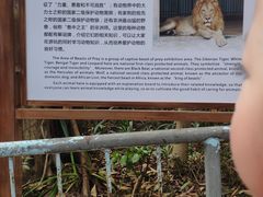 -广东茂名森林公园