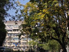 -孙记大碗皮肚面(后宰门店)