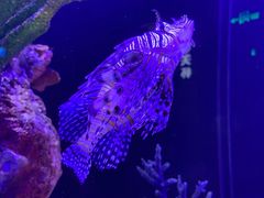 -厦门海底世界