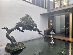-觀芷隐轩