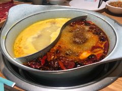 -青瓷火锅料理(西单大悦城店)