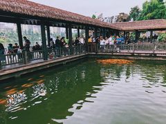 -枫香湖儿童公园