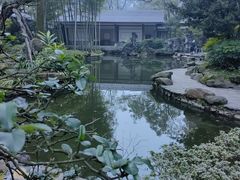 -南山植物园