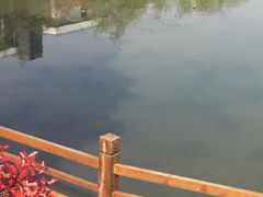 -羊山湖公园