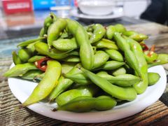 毛豆-唐哥冷淡杯(电子路店)