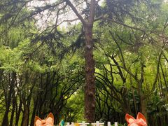 -上海共青森林公园