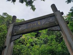 -深圳国际园林花卉博览园