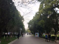 -云南师范大学(一二一西南联大校区)