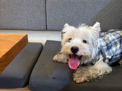 -小意思咖啡店(草桥店)