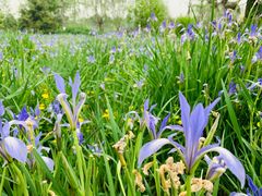 -永定河休闲森林公园