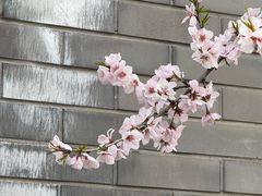 -安定门(地铁站)