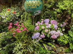 -颐而康·按摩·艾灸·足疗(汽车东站店)