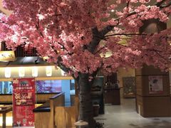 -大江户·温泉洗浴(浑南店)