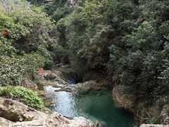 -南海湾森林生态园